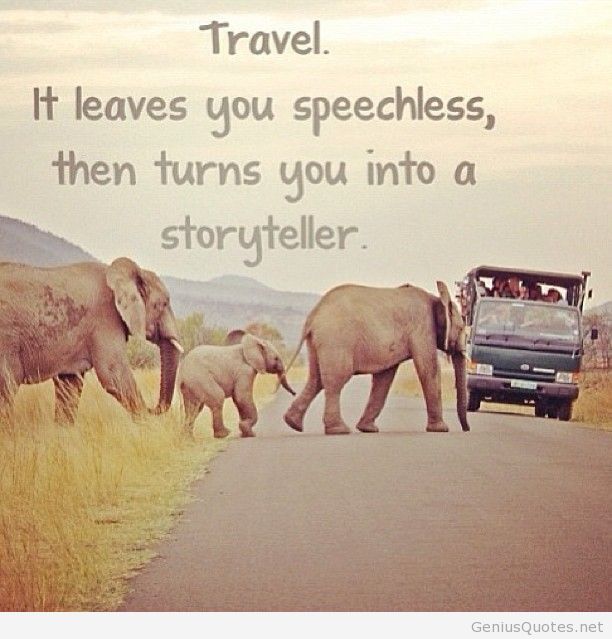 Quote : Ibn Battuta, Image  : GeniusQuotes.net