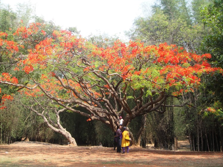 A family clicking pictures..