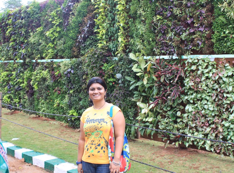 A vertical wall with plants grown on it...