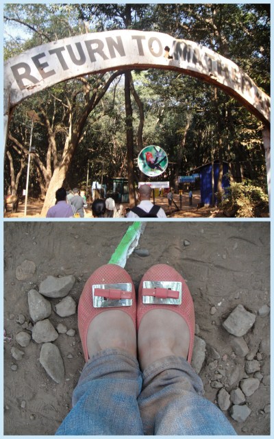 Someday, I will come back!