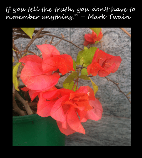 Day 1 of 3 Day Quote Challenge