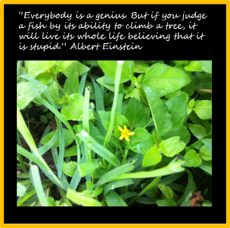 Day 3 of Quote Challenge