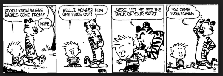 Calvin and Hobbes