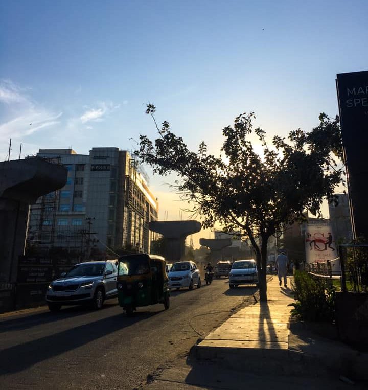 #ThursdayTreeLove - 81