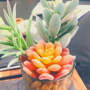 Gratitude List - June 2020