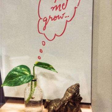 What it means to grow.