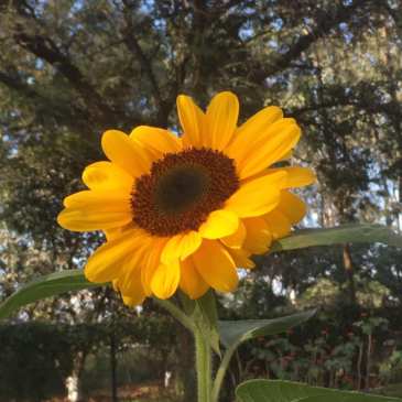 8th blogging anniversary, we are 8