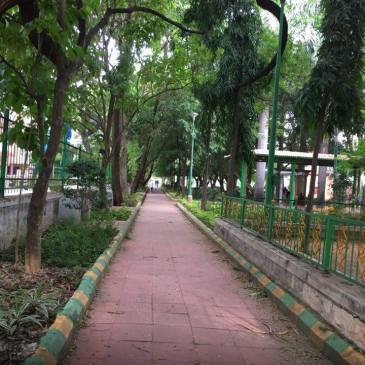 The track where I meet her almost every day..and I feel I know her.