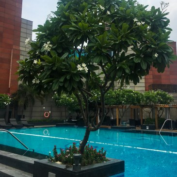 #ThursdayTreeLove - 69