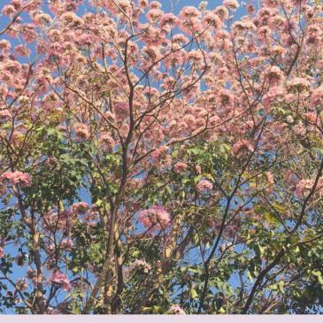 Gratitude List - March 2021