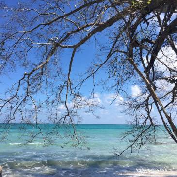 #ThursdayTreeLove -11