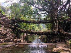 Double decker root bridge of Nongriat