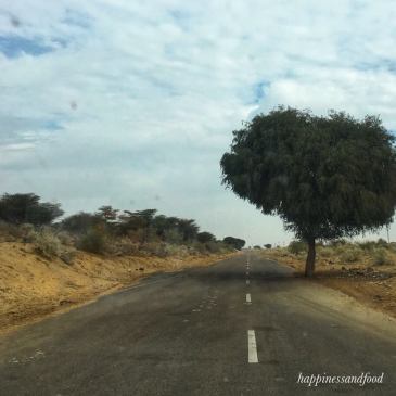 #ThursdayTreeLove - 32