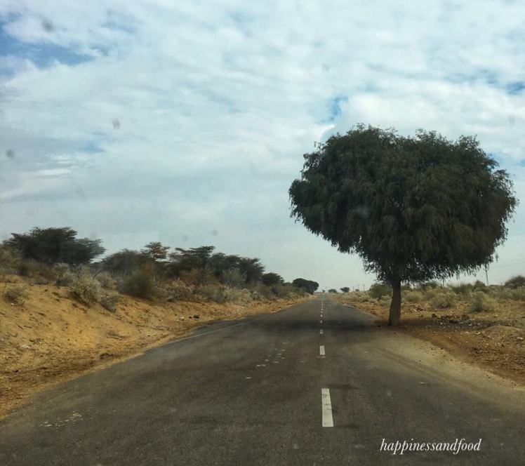 #ThursdayTreeLove - 32