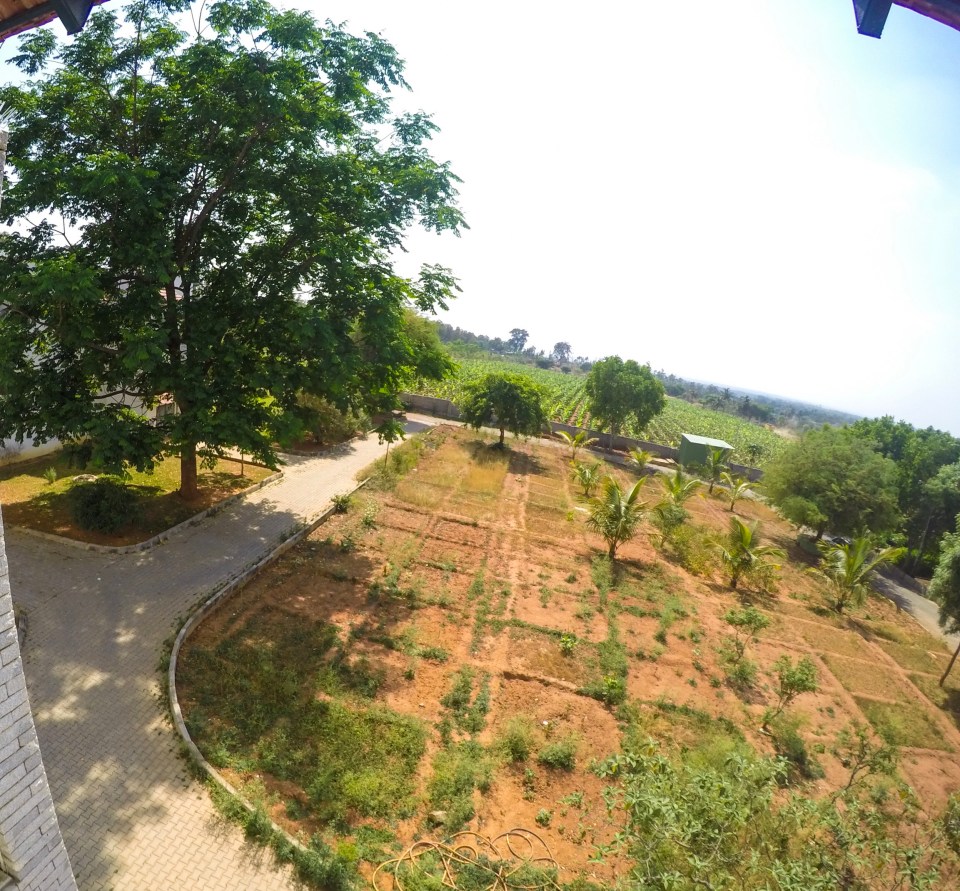 #ThursdayTreeLove - 65