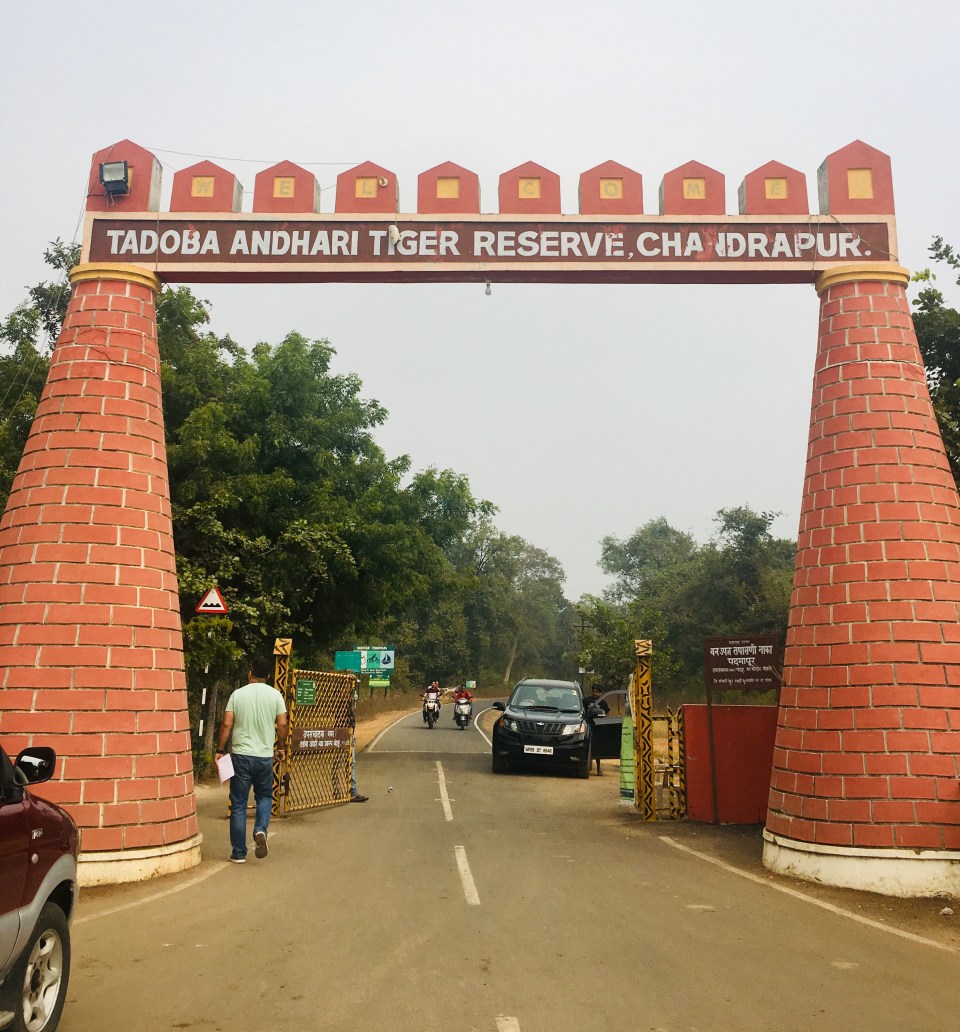 The entry to Tadoba.