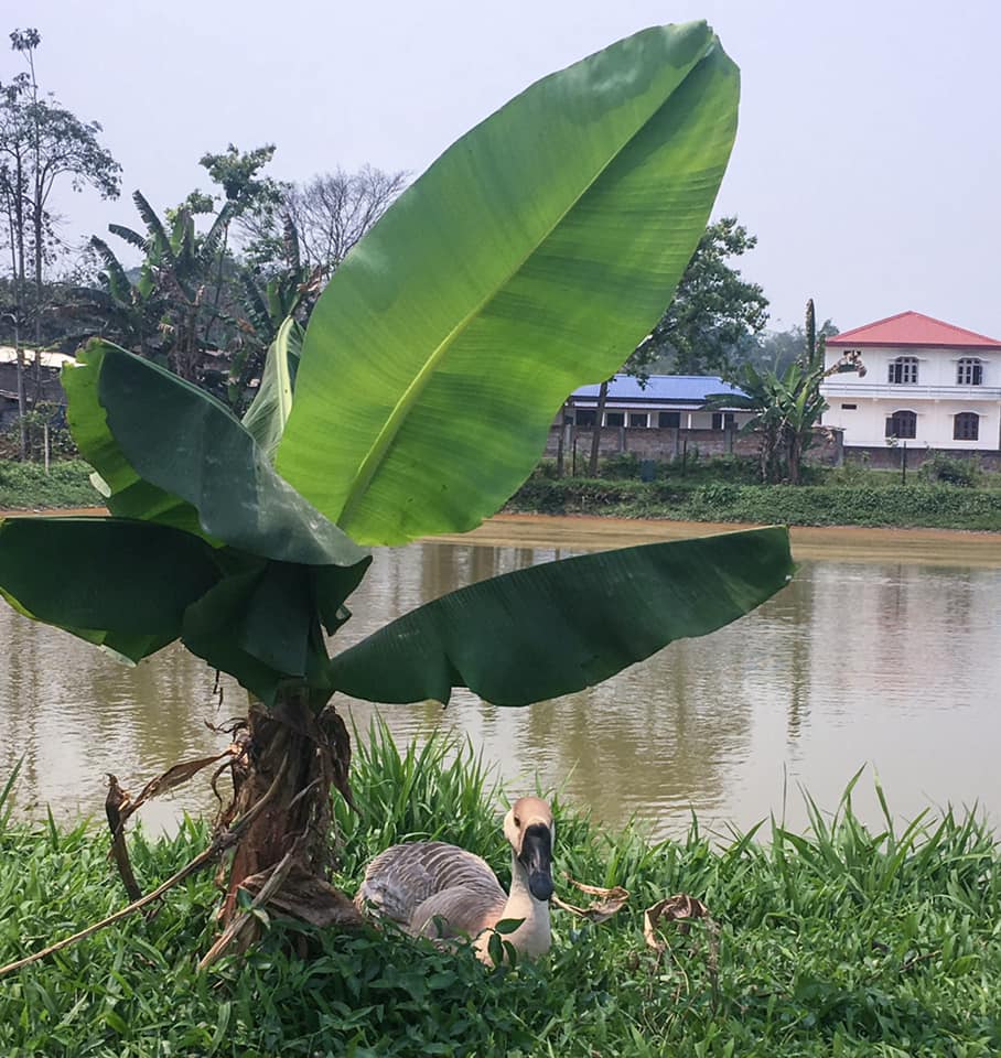 #ThursdayTreeLove - 80