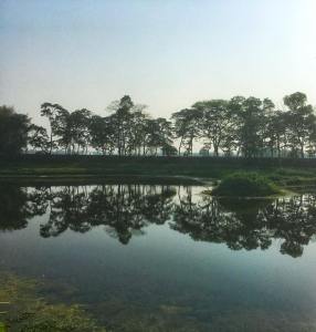 Majuli - the river island