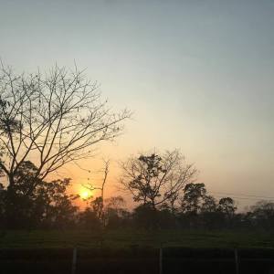 Sunset in Assam