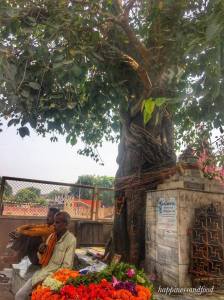 ThursdayTreeLove - 26