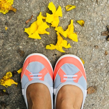 My 800th post on this blog!