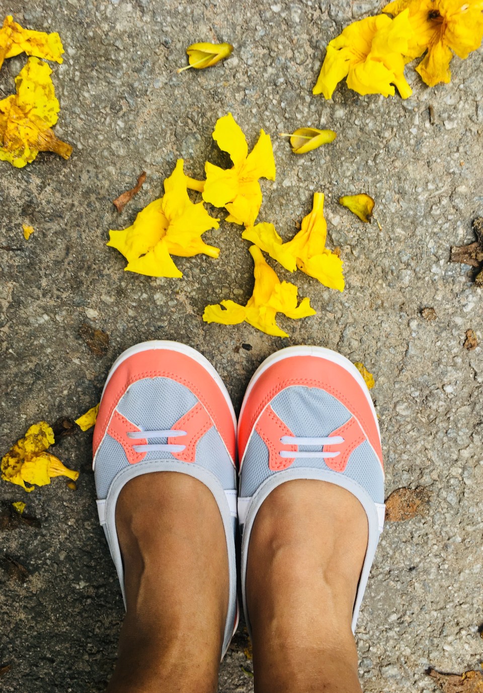 Hello 800! My 800th post on this blog!