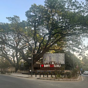 Thursday Tree Love - 141