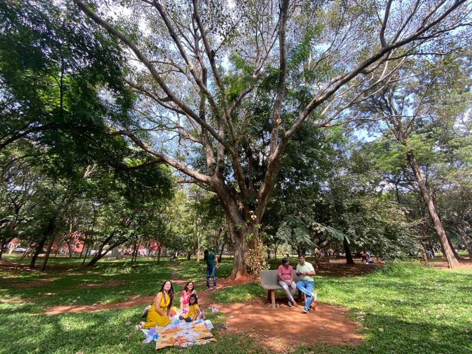 Cubbon Park