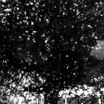 #ThursdayTreeLove - 116