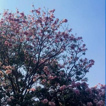 Gratitude List - March 2018