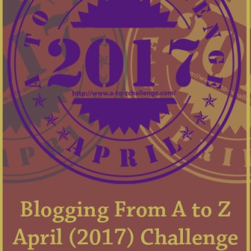 Reflections this year