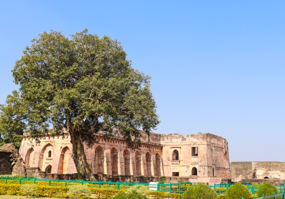 Hindola Mahal at Mandu