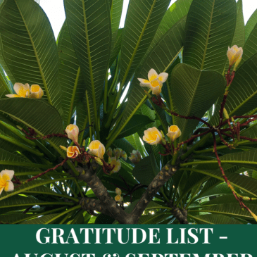 Gratitude List - August & September 2020