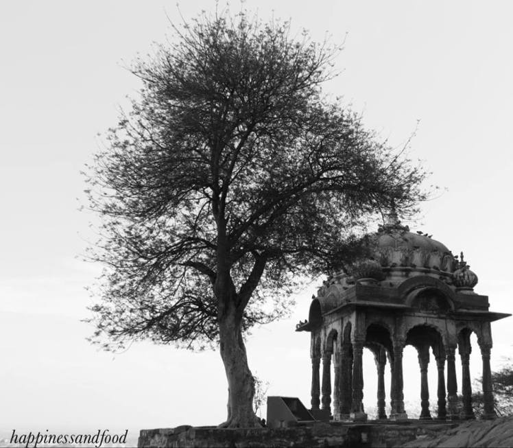 #ThursdayTreeLove - 33