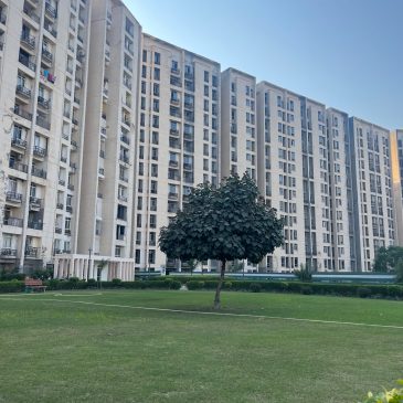 Thursday Tree Love - 139