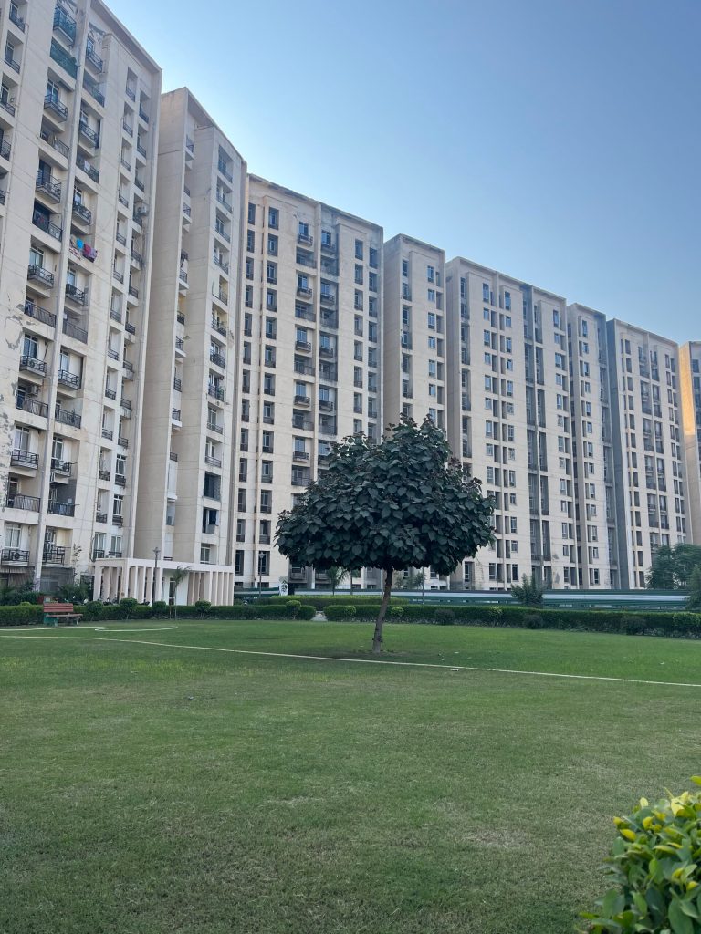 Thursday Tree Love - 139