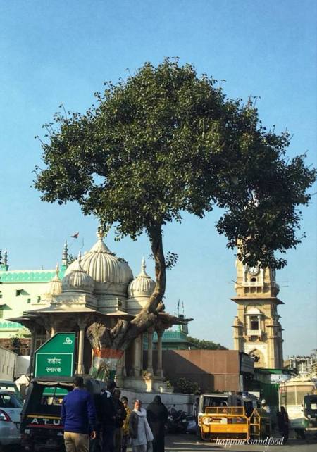 #ThursdayTreeLove – 30