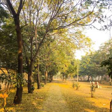 ThursdayTreeLove-100