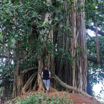 ThursdayTreeLove-103