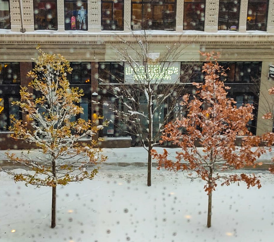 Thursday Tree Love - 77