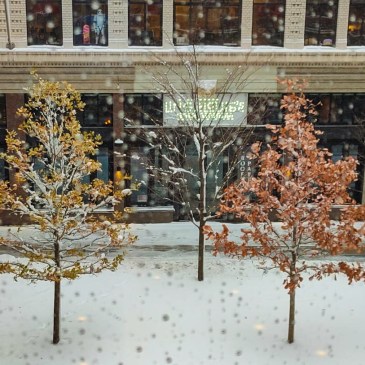 Thursday Tree Love - 77